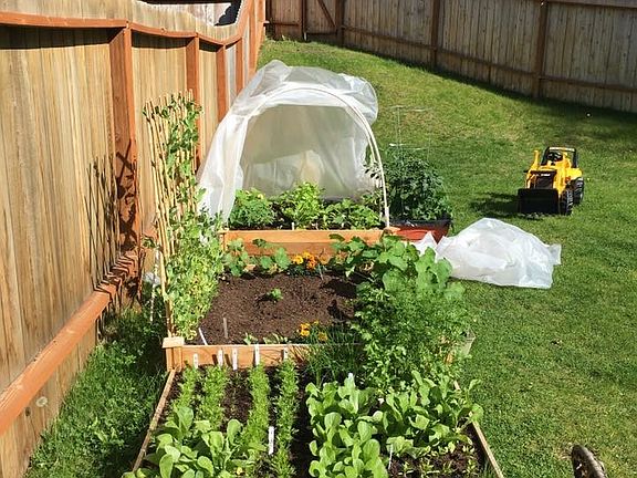 Great sun for gardening 