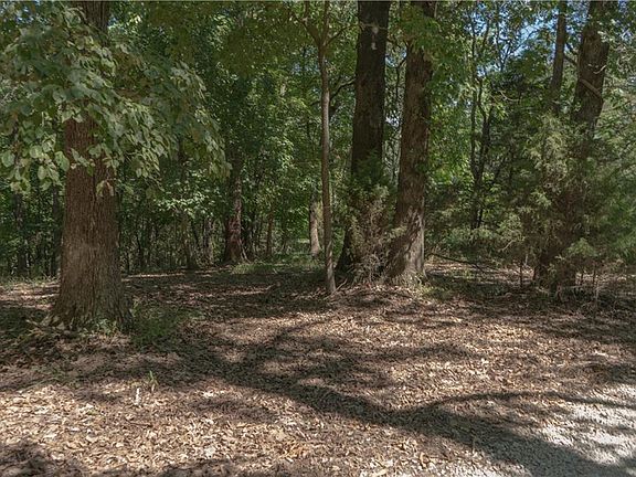 3rd image of 10260 Hickory Hills Dr
