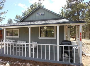 54 Linn Rd, Bailey, CO 80421