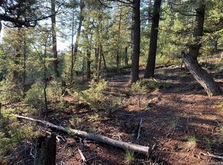 12907 S Cindy Avenue, Pine, CO 80470