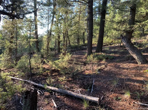 12907 S Cindy Avenue, Pine, CO 80470