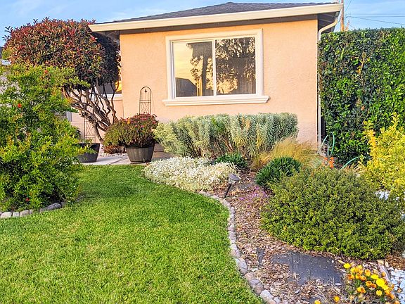 Pomegranate tree and landscaping