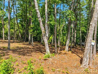 129 Powder Creek Trl, Arden, NC, 28704