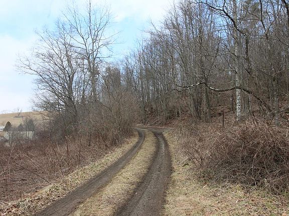 2nd image of 166 Little Otter Ln