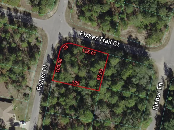 0 FISHER TRAIL COURT LOT 19, OCKLAWAHA, FL 32179