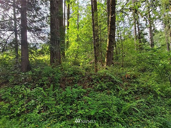 4th image of 132 -133 Lot N Potlatch Road