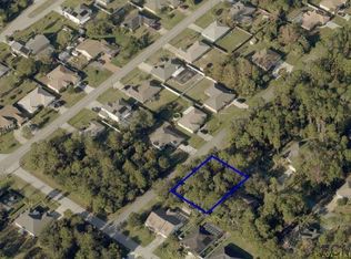 31 Birchbark Ln, Palm Coast, FL 32137