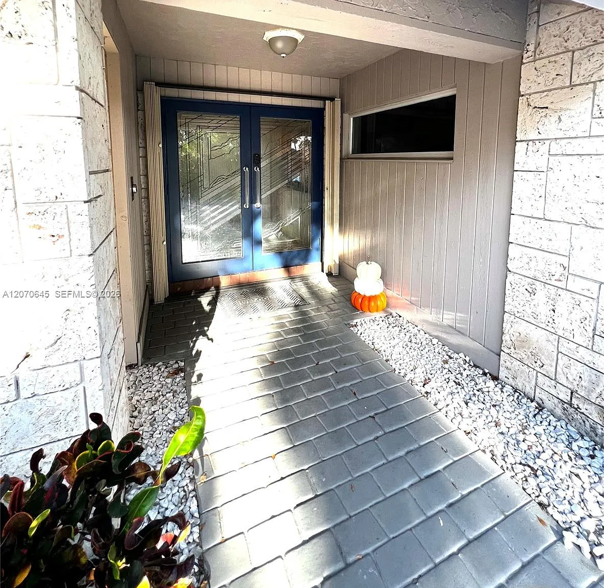 Oak Wood — Photo 4