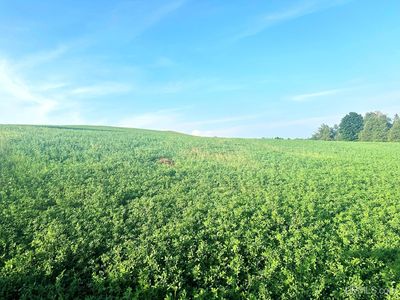 County Road 358 Rd, Daggett, MI, 49821