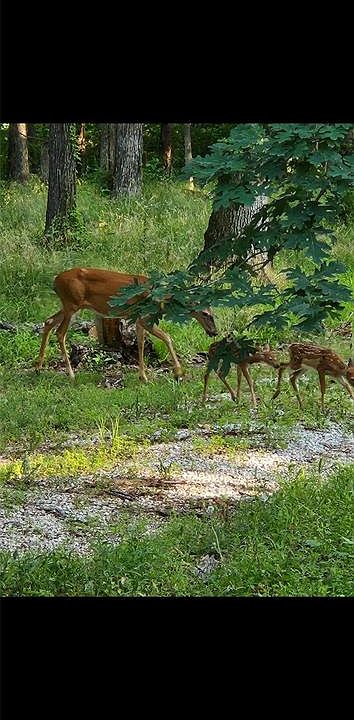 2nd image of 1855 Rock Springs Rd