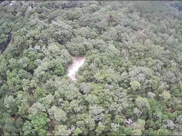 10 County Line Rd #1, Hawthorne, FL 32640