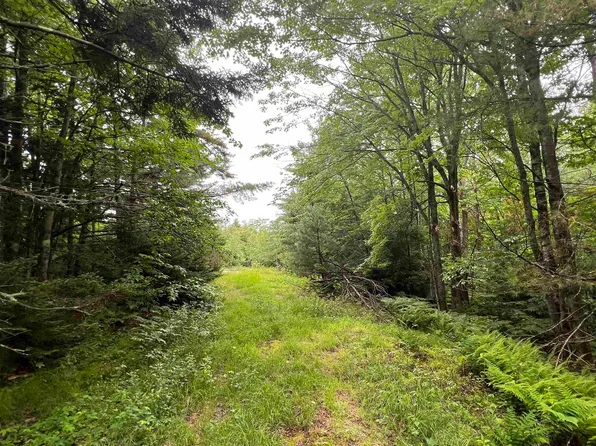 Lemere Road, Unity, NH 03603