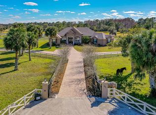 601 Willow Pond Ln, Osteen, FL 32764