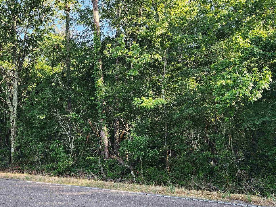 2nd image of State Highway 441