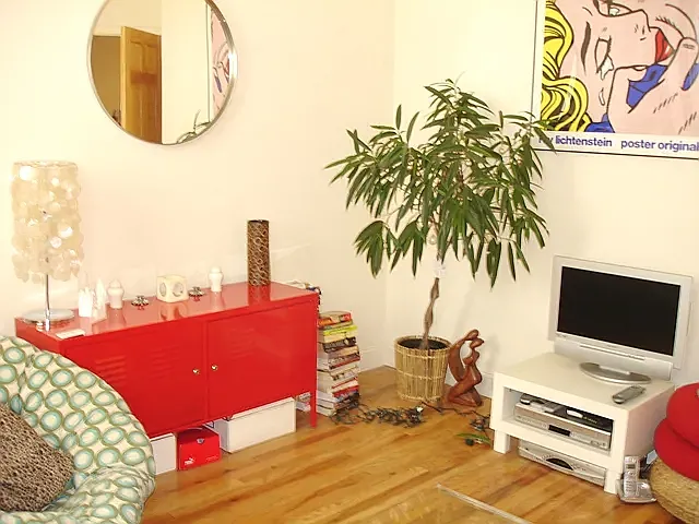 230 Thompson St #22 — Photo 4