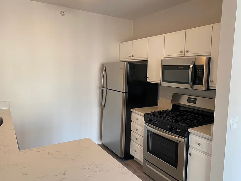 600 N Dearborn St #1305 — Photo 6
