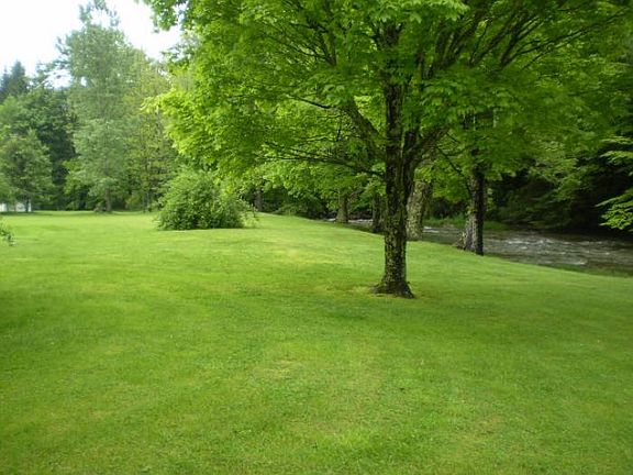 Front Lawn