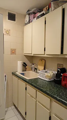 Rented by Manhattan Flats | media 10