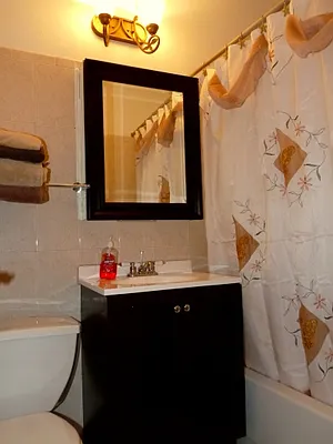 Rented by Citi Habitats | media 32