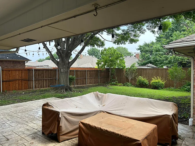 Patio & Backyard