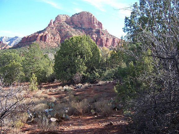 Your Own Secluded Acre