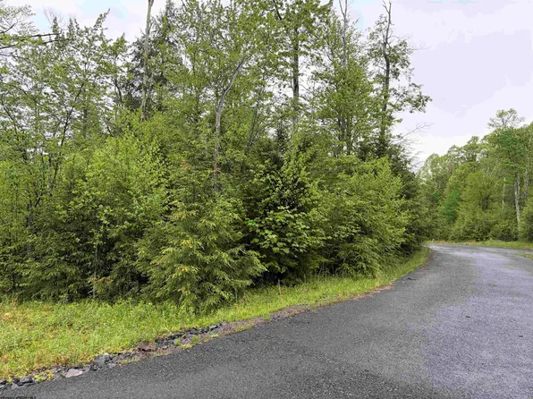 77 Bassilla Way, Davis, WV 26260