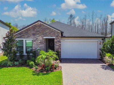 21577 Violet Periwinkle Dr, Land O Lakes, FL, 34637