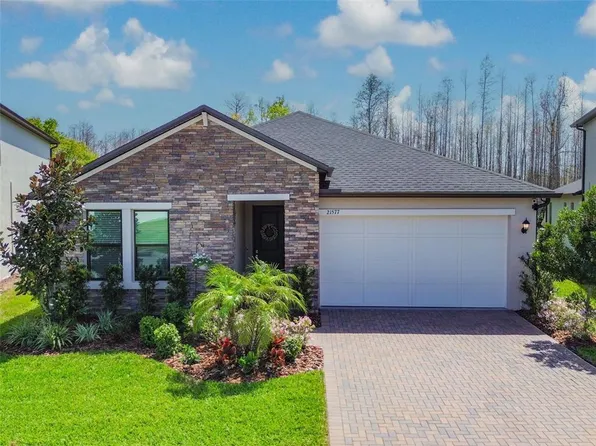 21577 VIOLET PERIWINKLE DRIVE, LAND O LAKES, FL 34637