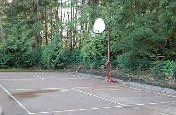 4th image of 4912 Deer Creek Ln