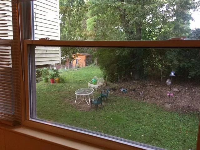 view from Living room window