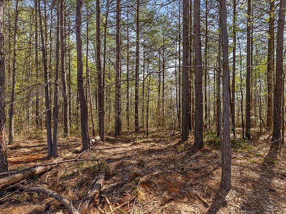 4th image of 0 High Ground Rd Lot 2233
