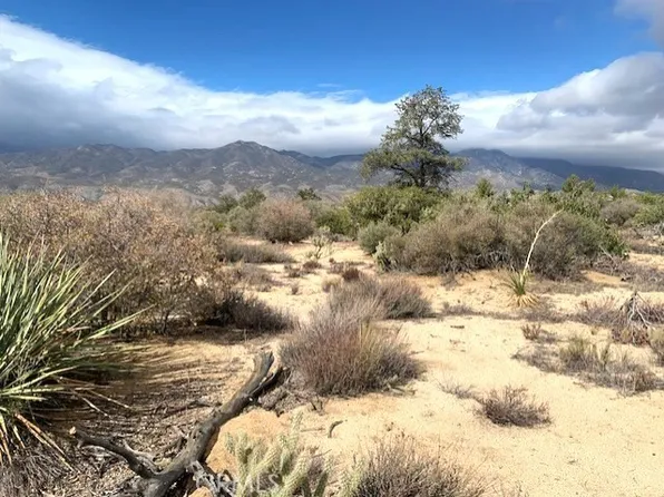 368 Palm Canyon Dr #368, Mountain Center, CA 92561