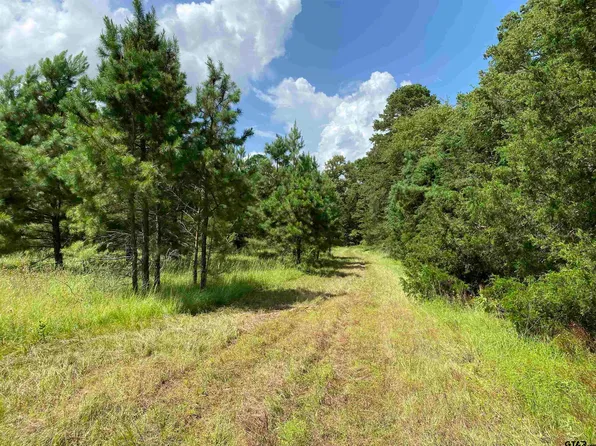 2541 County Road 1310, Jacksonville, TX 75766