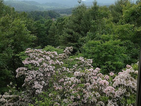 springtime mountain view