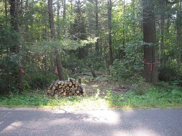 2nd image of Mercer Lake Rd Lot 1