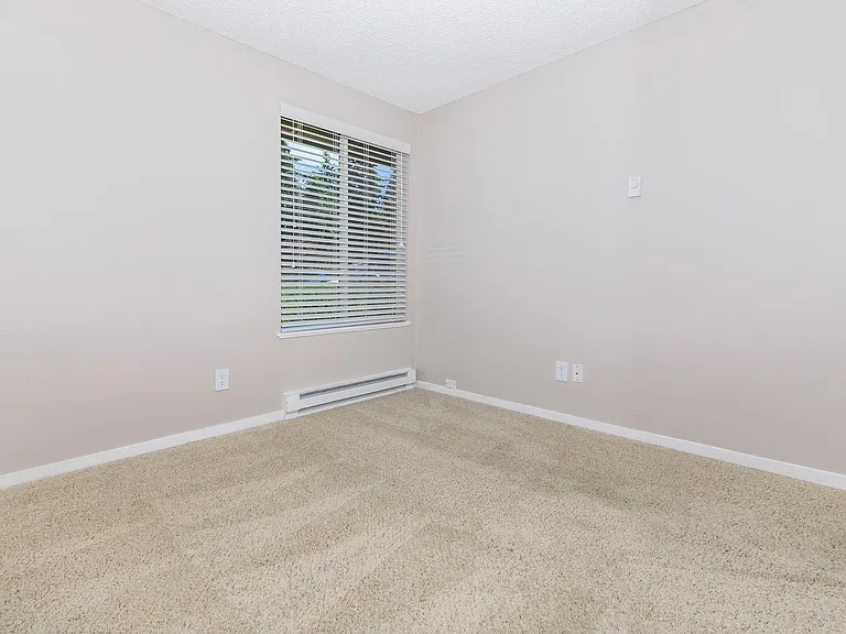 PLUSH CARPETING