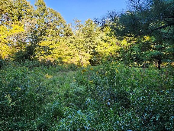 2nd image of 188 Old Stage Road