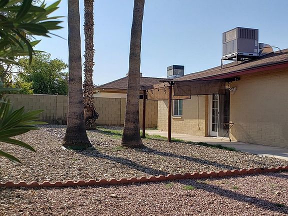 Huge Back Yard