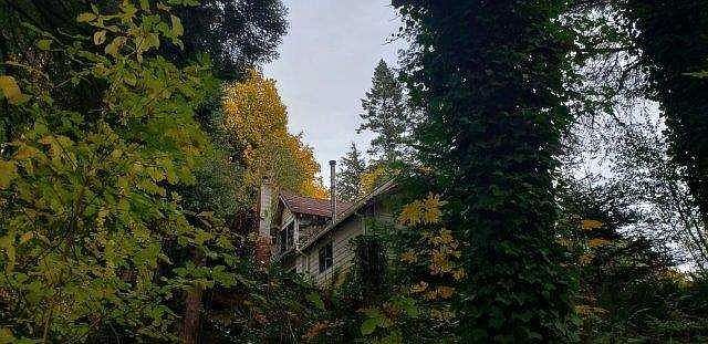 2nd image of 11239 W Belfair Valley Rd