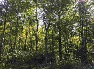 LOT 22 E Ruth Lake Rd, Iron River, WI 54847