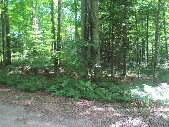 2nd image of 49+ Acres County Road A