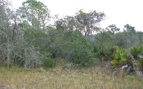 4th image of 9933 S Orange Blossom Blvd