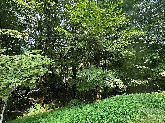 4th image of 84 Goldenleaf Rd