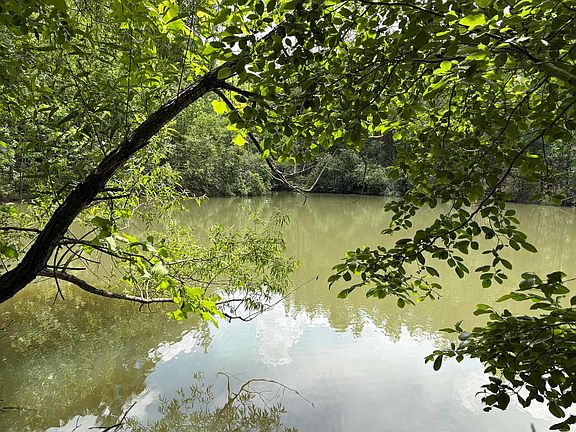 5th image of 904 Capooth Rd