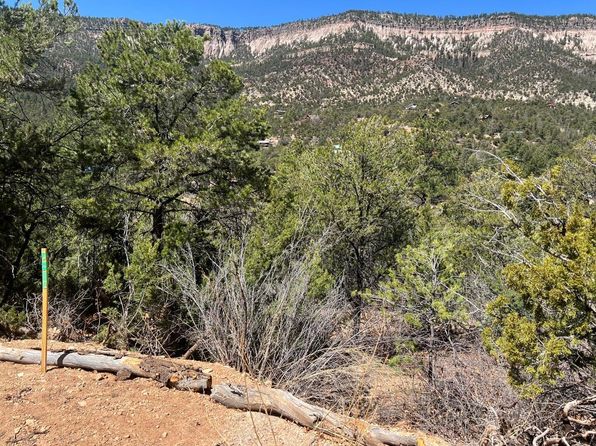 1A1A Camino Penasco, Jemez Springs, NM 87025