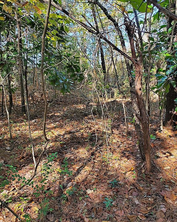 2nd image of 498 Michael Etchison Rd #3