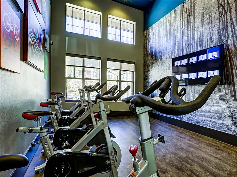 Spin Studio