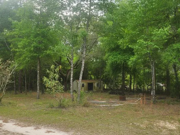 44 NE 828th St, Old Town, FL 32626