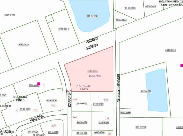 7069 CRILL Avenue, Palatka, FL 32177