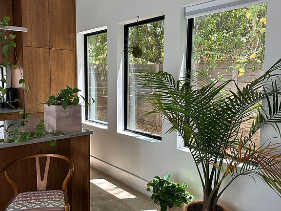 Natural light great for plants!